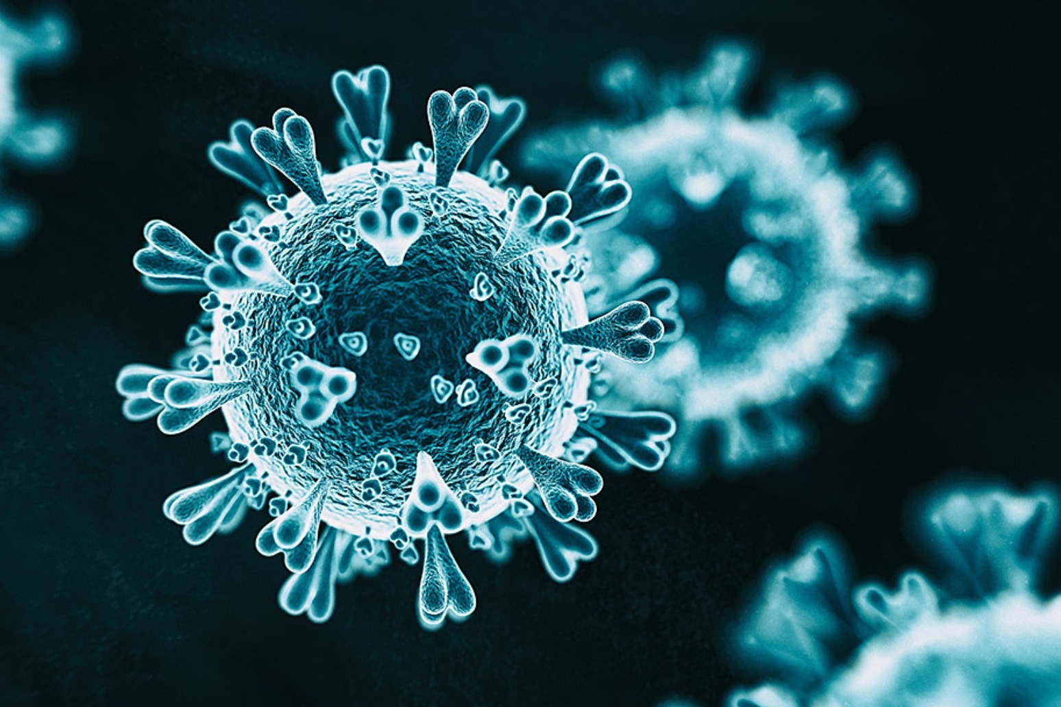 Scotland’s coronavirus inquiry to begin by end of year 
